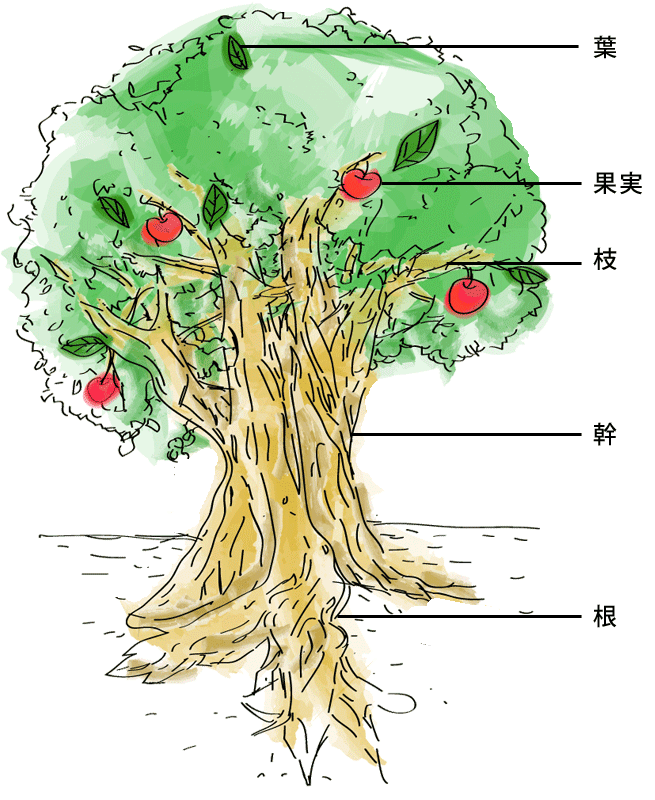 木を使った人間力の説明図